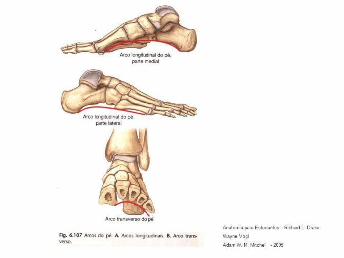 lina-levien-a-verdade-nua-e-crua-sobre-o-salto-alto