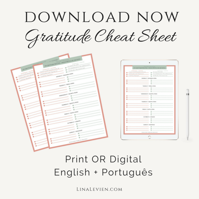 lina-levien-gratitude-cheat-sheet-blog