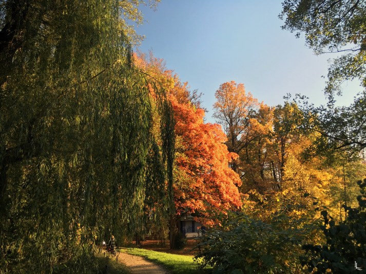 lina-levien-autumn-fall (12)