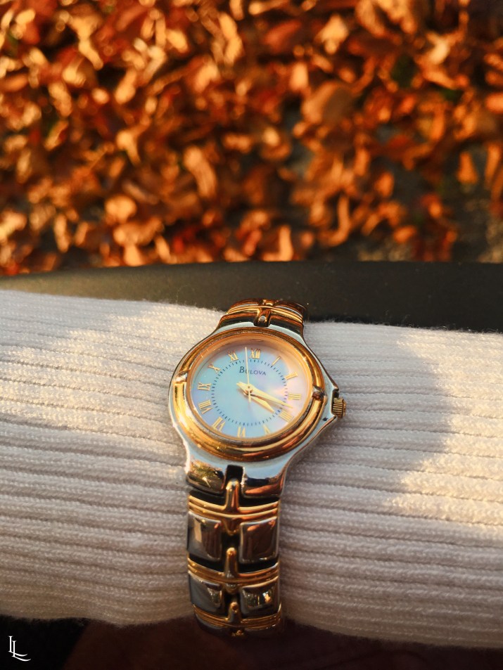 lina-levien-autumn-fall (14)