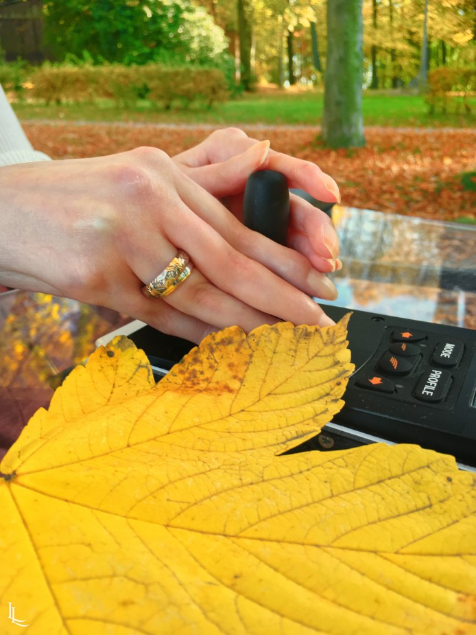 lina-levien-autumn-fall (15)