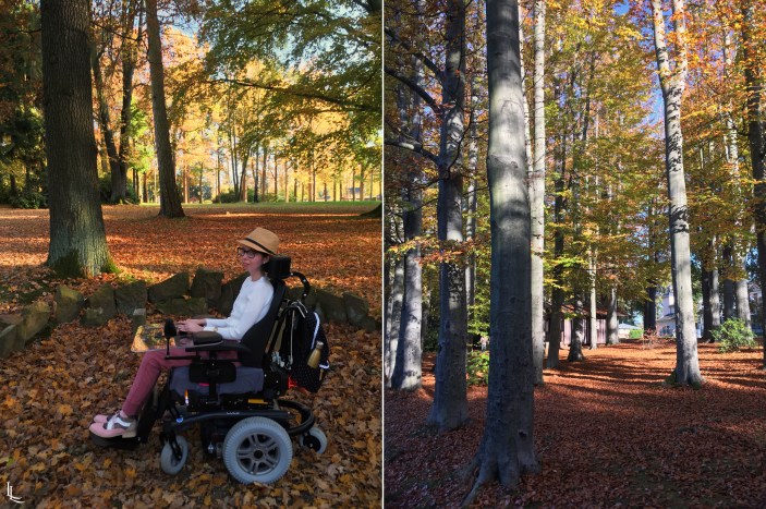 lina-levien-autumn-fall (20)