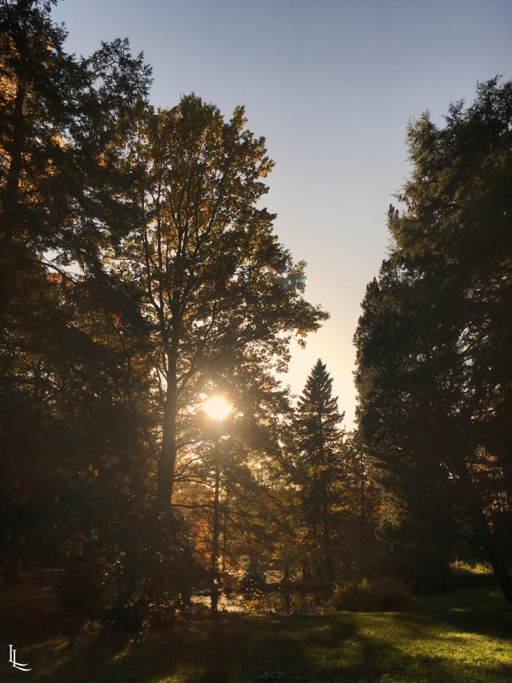 lina-levien-autumn-fall (22)