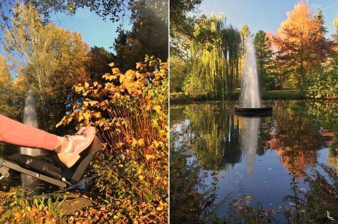 lina-levien-autumn-fall (4)