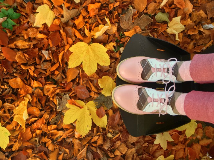 lina-levien-autumn-fall (5)