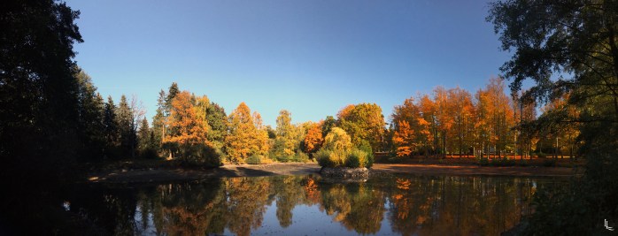 lina-levien-autumn-fall-panorama