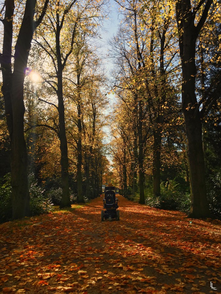 lina-levien-autumn-fall