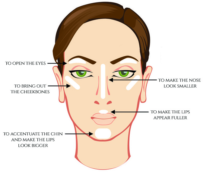 lina-levien-highlighter