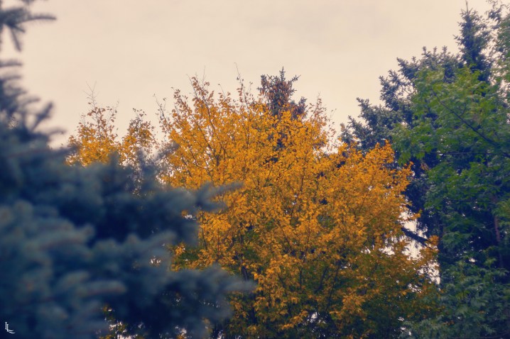 lina-levien-my-mode-fall-for-fall-autumn-outfit