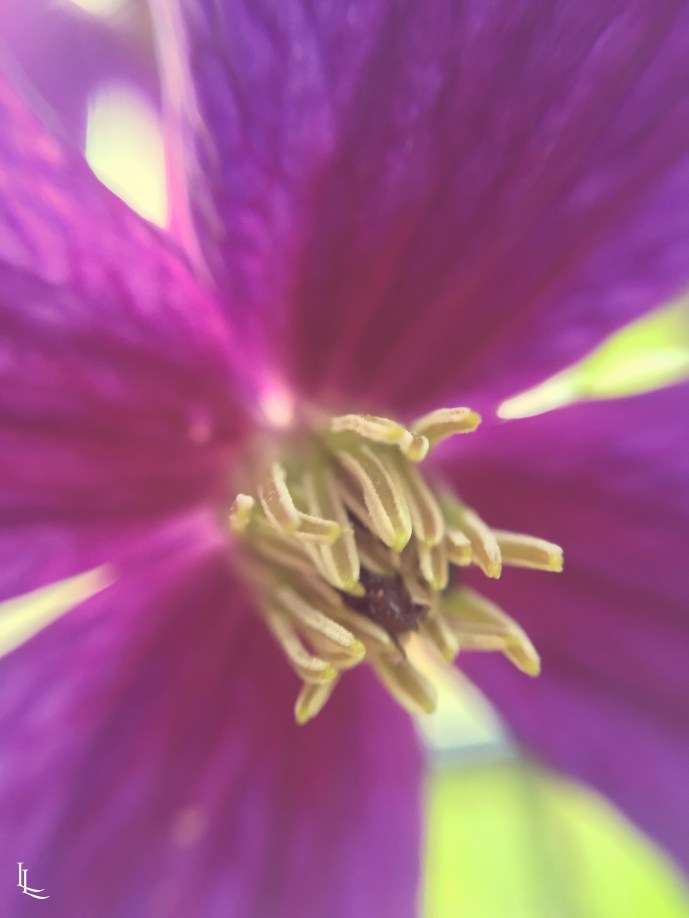 lina-levien-my-mode-garden (3)