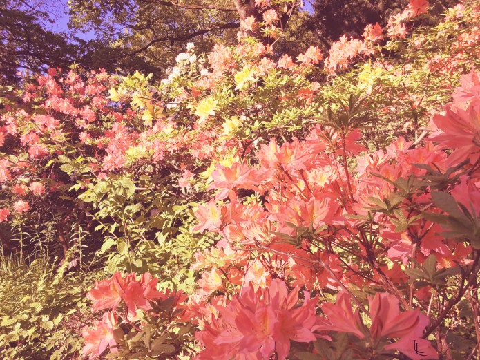 lina-levien-my-mode-parkschaenke (6)