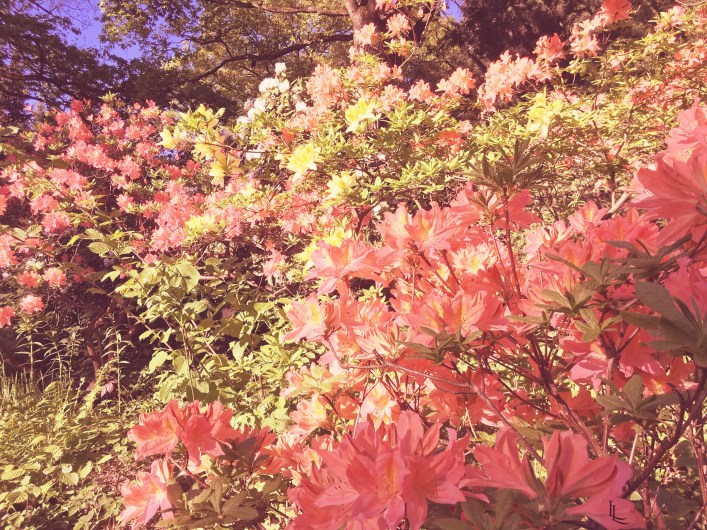 lina-levien-my-mode-parkschaenke (6)