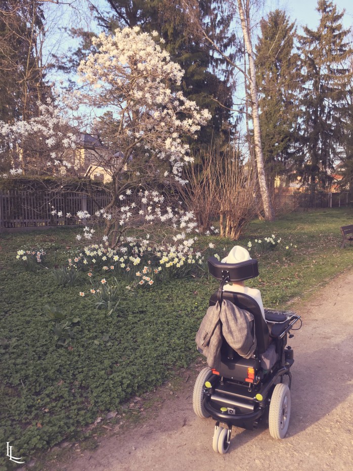 lina-levien-rolling-chair (6)