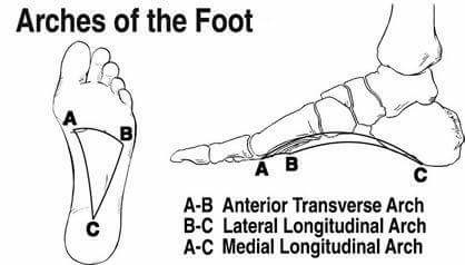 lina-levien-the-ugly-truth-about-high-heels