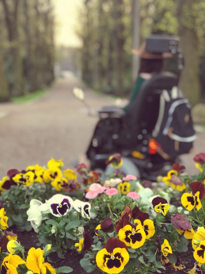 lina-levien-heels-on-wheels-stadtpark (12)