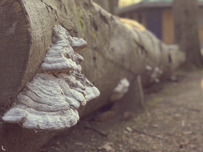 lina-levien-heels-on-wheels-stadtpark (3)