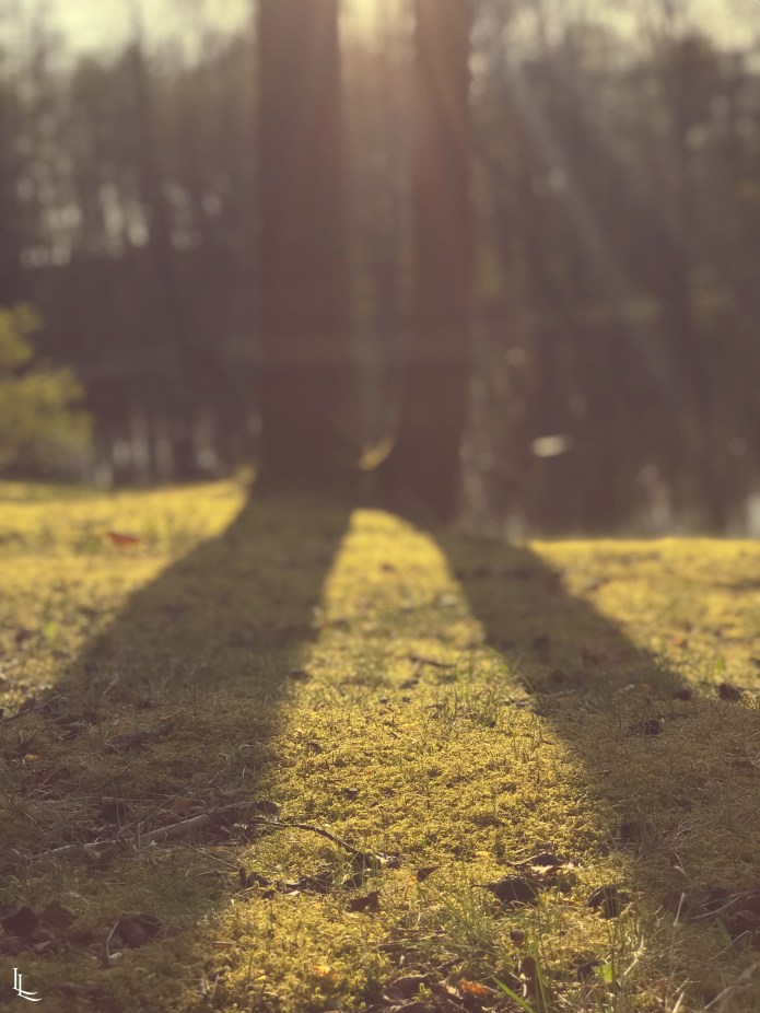 lina-levien-heels-on-wheels-stadtpark