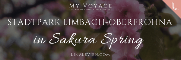 lina-levien-stadtpark-spring-cherry-tree