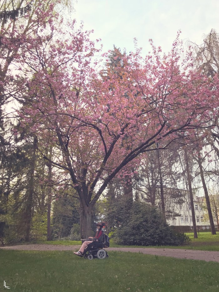 lina-levien-sakura-outfit (10)