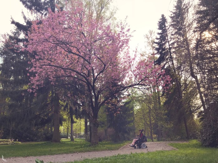 lina-levien-sakura-outfit (11)