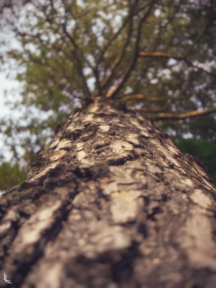 lina-levien-sakura-outfit (15)