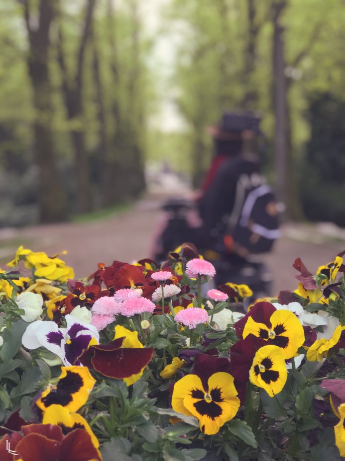 lina-levien-sakura-outfit