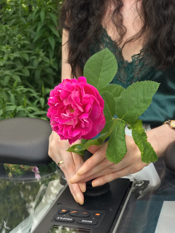 lina-levien-confidence-is-overrated (2)