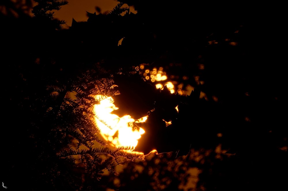 1966f690-be60-477d-9873-839c288509bf