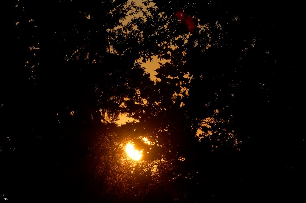 722dbd84-cef9-4f68-929f-9a957a05b495