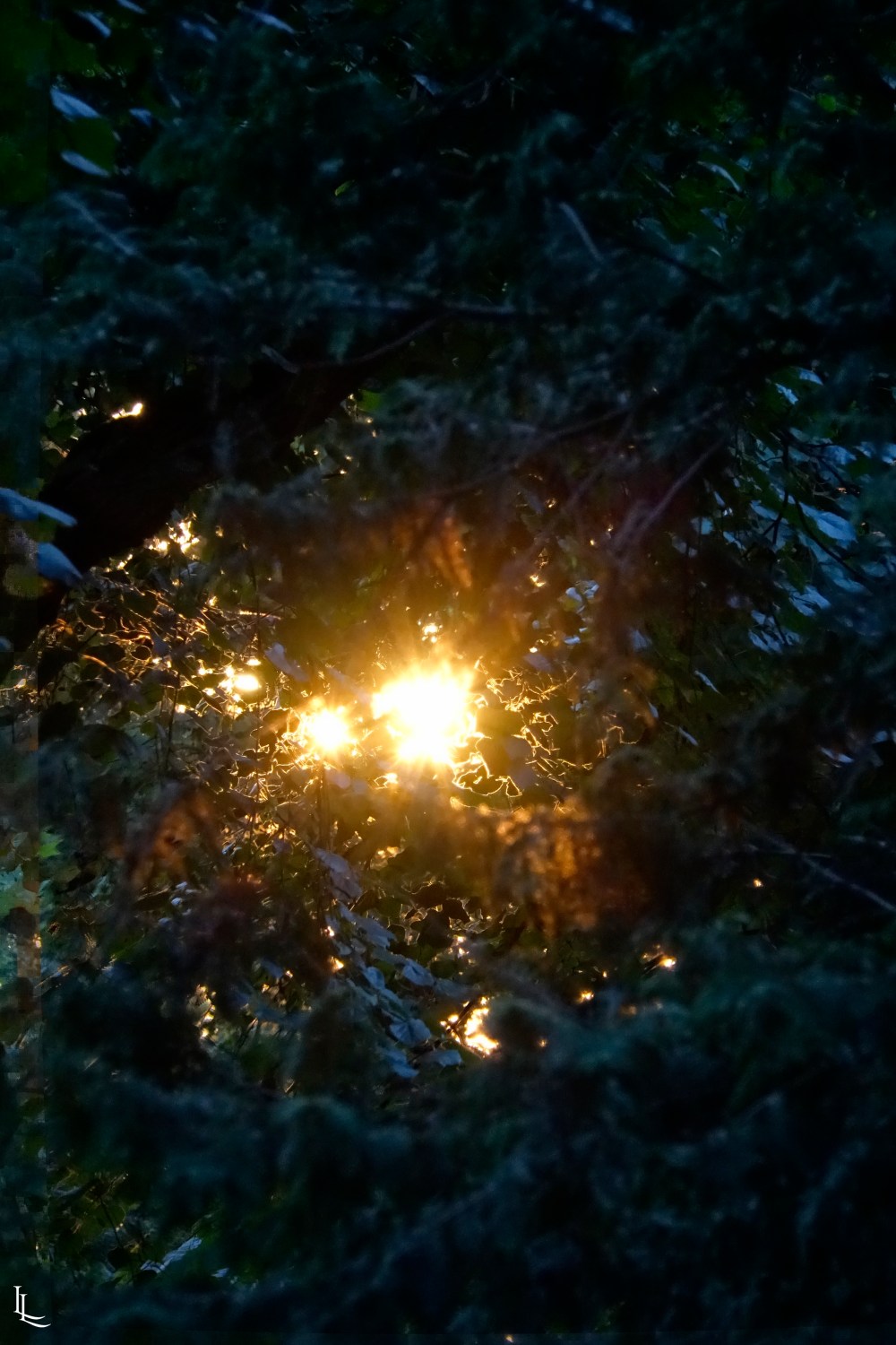 cadb5a71-d730-4993-9b4c-1b279f5bfcd7