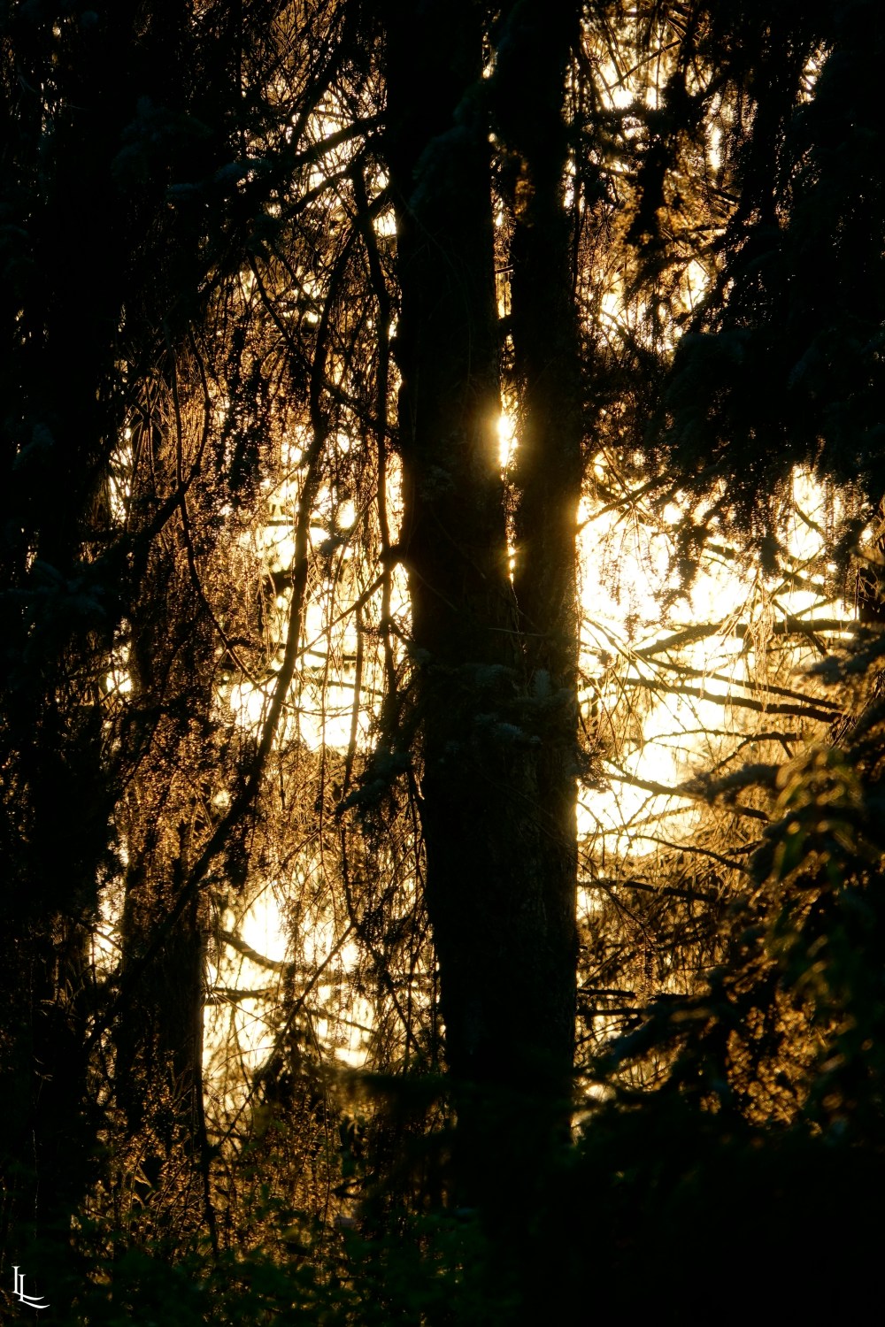 ea33600b-7d86-4a04-b3f9-c203fb032cf3