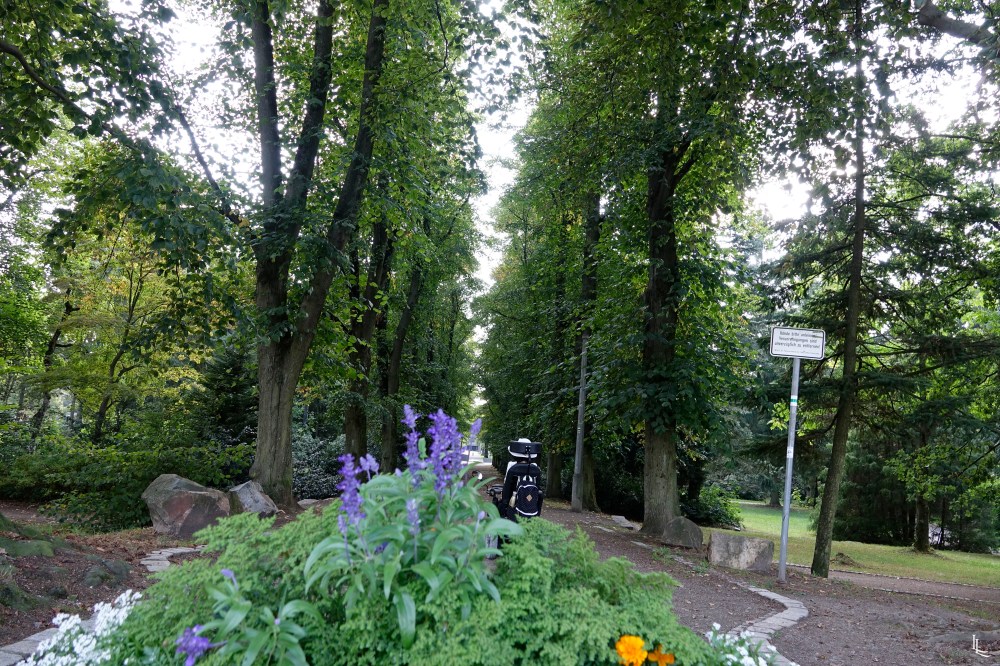 lina-levien-park (8)