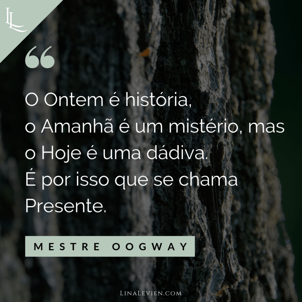 lina-levien-quotes-master-oogway-pt (2)