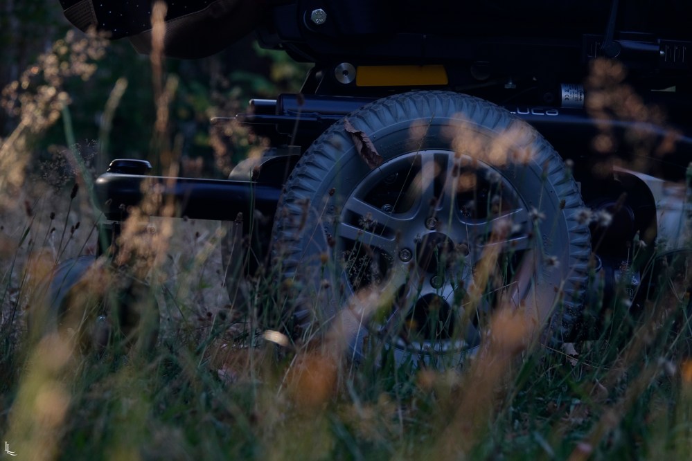 lina-levien-garden-rolls